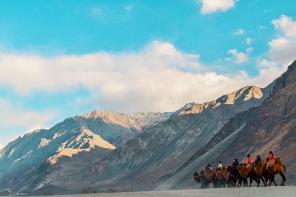 Day 4 : A visit to Pangong Tso and back