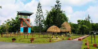 Day 7 Excursion to Mount Harriet.