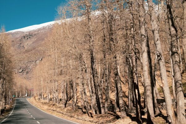 Day 6 : Tso - Moriri Lake to Leh. (220 Km/7 hours, one-way)