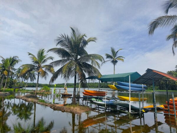 a body of water with boats and trees around it