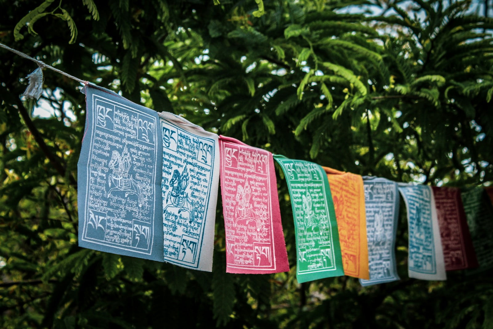 Day 5 Excursion to Tsomgo Lake & Baba Mandir